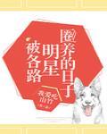 被各路明星圈