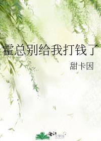 霍总别给我打