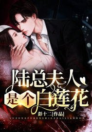 陆总夫人是个