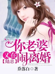 陆总，你老婆